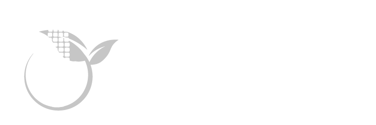 BTB Seeds
